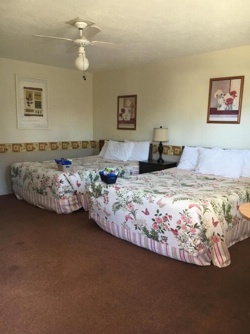 Lighthouse Inn - image 4