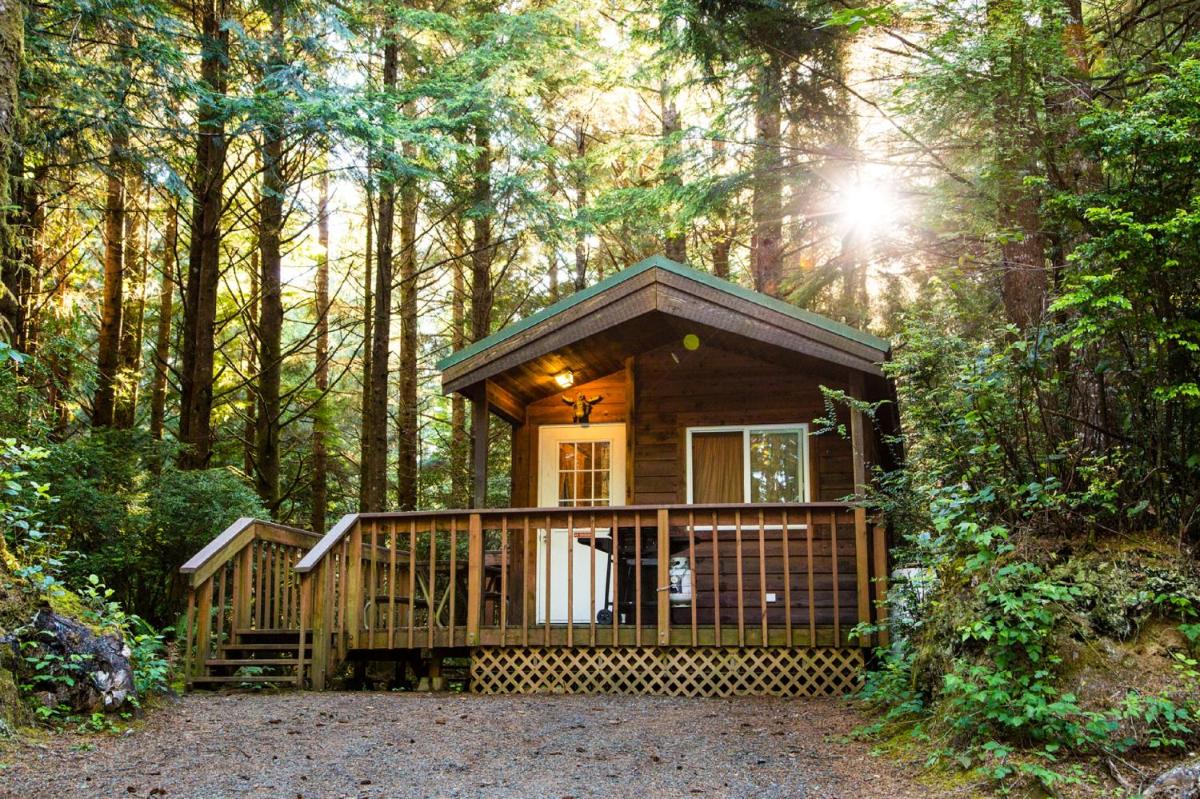 South Jetty Camping Resort Cabin 1 - image 6