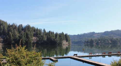 Mercer Lake Resort and Private Beach - image 13