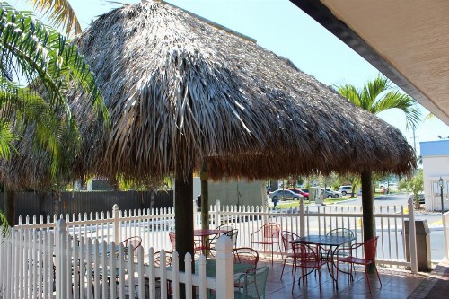 Travelodge by Wyndham Florida City/Homestead/Everglades - image 43