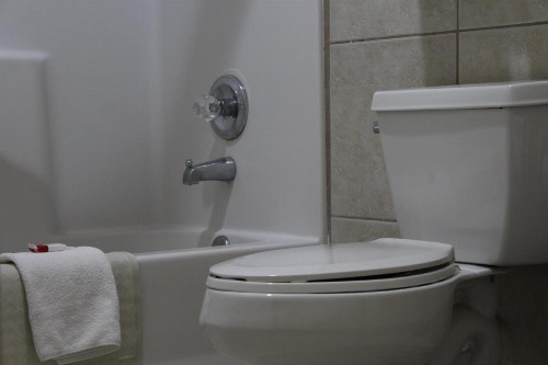 Travelodge by Wyndham Florida City/Homestead/Everglades - image 49