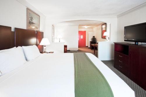 Holiday Inn Express & Suites Florida City-Gateway To Keys an IHG Hotel - image 24