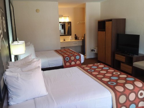 Super 8 by Wyndham Florida City/Homestead/Everglades - image 17