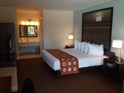 Super 8 by Wyndham Florida City/Homestead/Everglades - image 37
