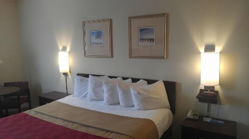 Baymont by Wyndham Florida City - image 20