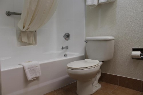 Quality Inn Florida City-Florida Keys Area - image 44