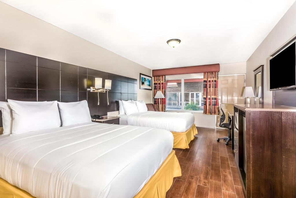 Econo Lodge Inn & Suites - image 2