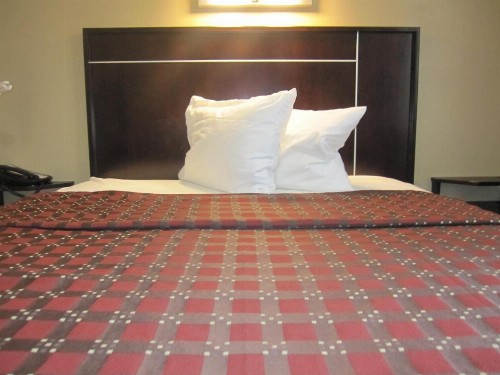 Super Lake Hotel - image 11
