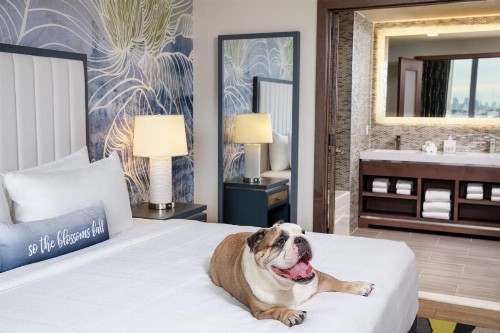 Hotel Indigo - Flushing - image 27