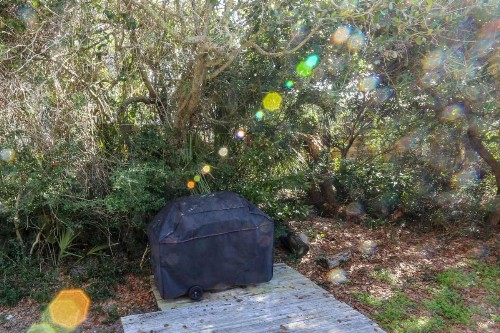 Someplace Else - image 23
