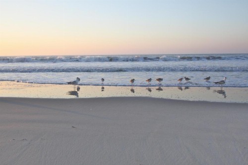 Someplace Else - image 42