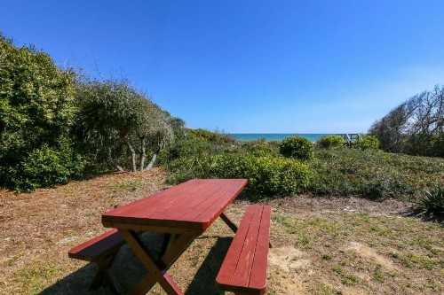 Salt Sea - image 23
