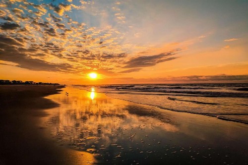 Salt Sea - image 47