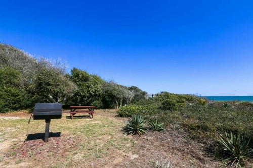 Salt Sea - image 8