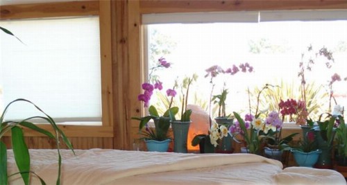 Coast Inn and Spa - image 10