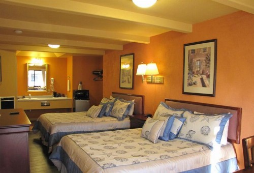 Coast Inn and Spa - image 29
