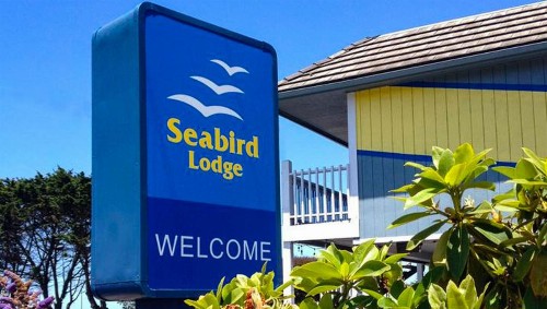 Seabird Lodge Fort Bragg - image 7
