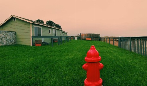 Beachcomber Motel - image 10