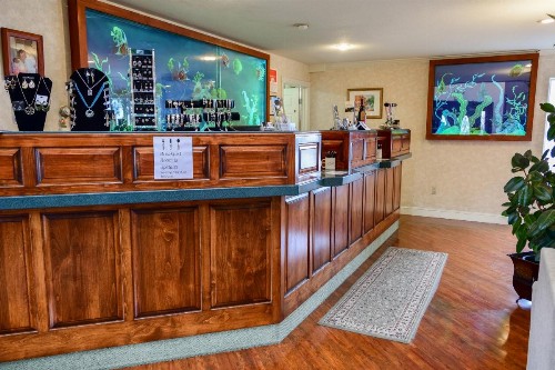 North Cliff Hotel - image 10
