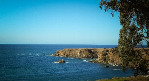 North Cliff Hotel - image 4