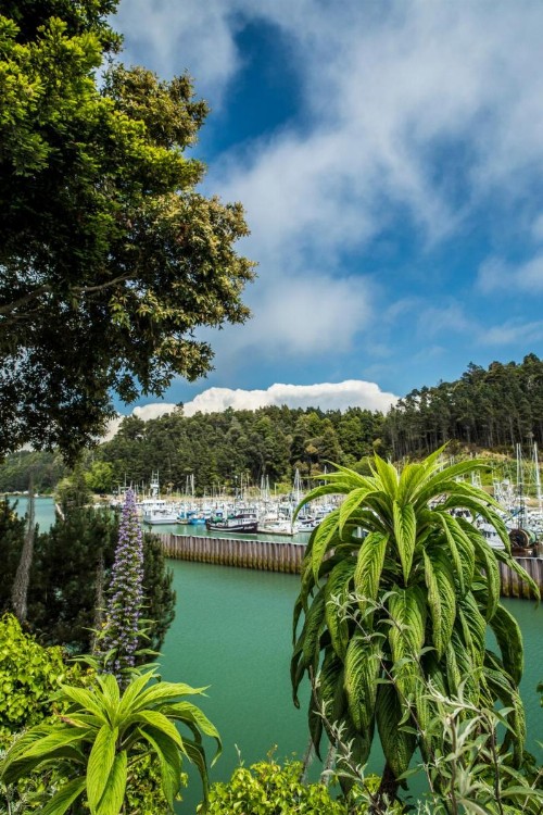 Noyo Harbor Inn - image 2