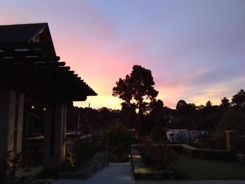 Noyo Harbor Inn - image 23