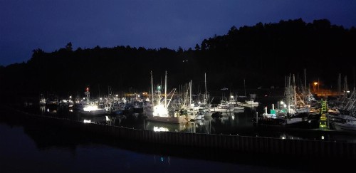 Noyo Harbor Inn - image 32