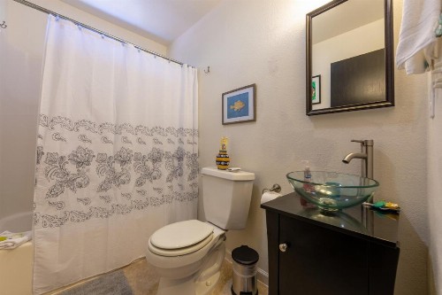Coastal Conifer Hideaway - image 8