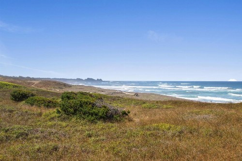 Sea Dream and Sand Dollar Suite - image 3