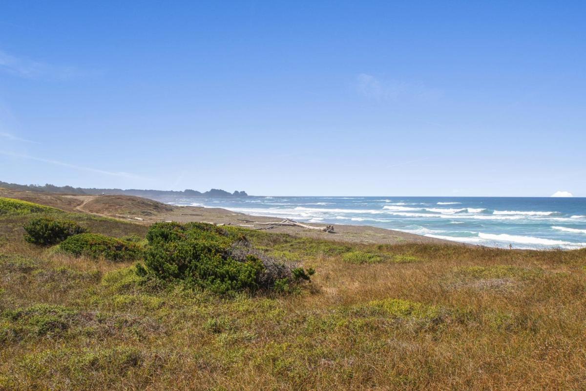 Sea Dream and Sand Dollar Suite - image 3