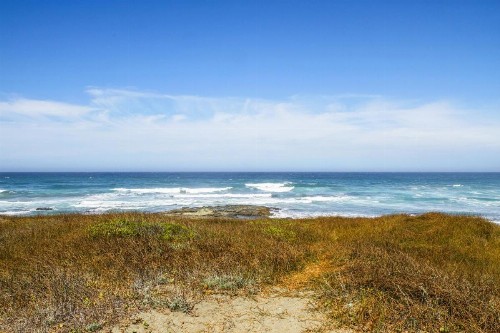 Sea Dream and Sand Dollar Suite - image 6