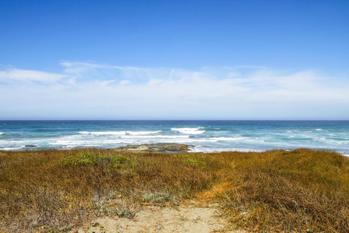 Sea Dream and Sand Dollar Suite - image 6