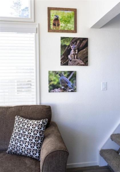 Woodchuck Flat - image 8
