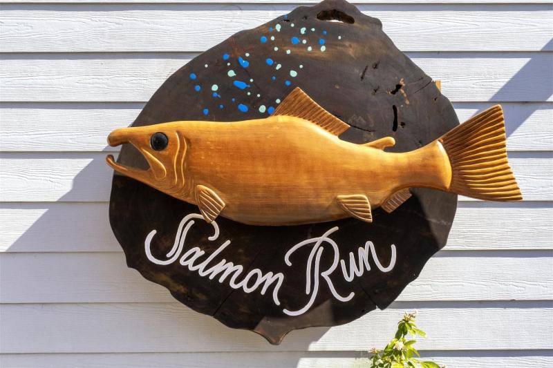 Salmon Run - image 2