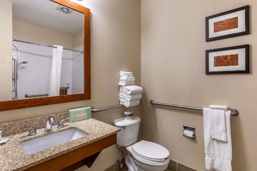 Comfort Suites Fort Collins Near University - image 21