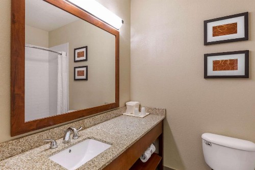 Comfort Suites Fort Collins Near University - image 35