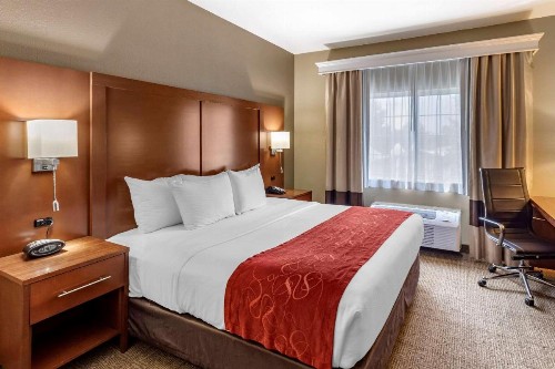 Comfort Suites Fort Collins Near University - image 36