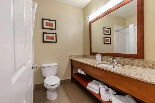 Comfort Suites Fort Collins Near University - image 5