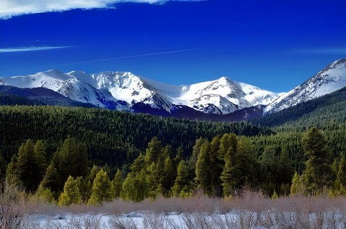 Baymont by Wyndham Fort Collins - image 4