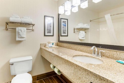 Quality Inn & Suites University Fort Collins - image 14