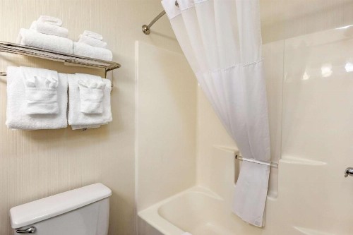 Quality Inn & Suites University Fort Collins - image 2