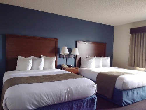 AmericInn by Wyndham Windsor Ft. Collins - image 21