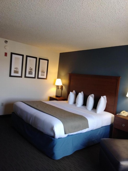 AmericInn by Wyndham Windsor Ft. Collins - image 39