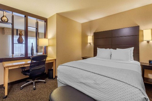 Cambria Hotel Ft Collins - image 14