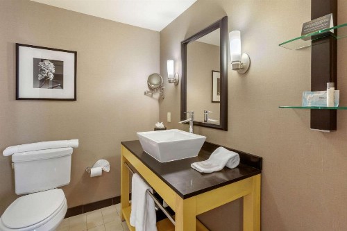 Cambria Hotel Ft Collins - image 2
