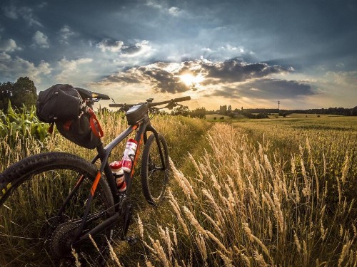 Hidden Gem Near Old Town BBQ & Bikes!! - image 16