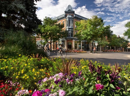 The Chic Guest Retreat in Old Town near CSU! - image 20