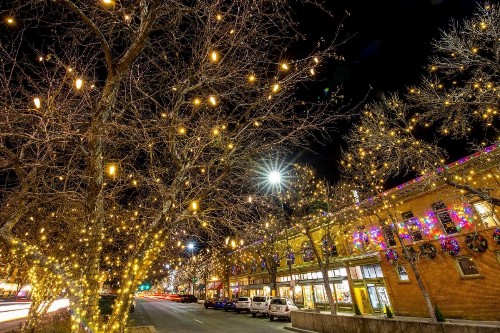 The Chic Guest Retreat in Old Town near CSU! - image 21