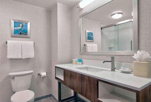 Hampton Inn Ft Lauderdale-Airport North - image 29