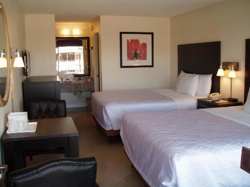 Red Carpet Inn Airport Fort Lauderdale - image 15